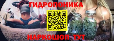 PSILOCYBIN Изобильный