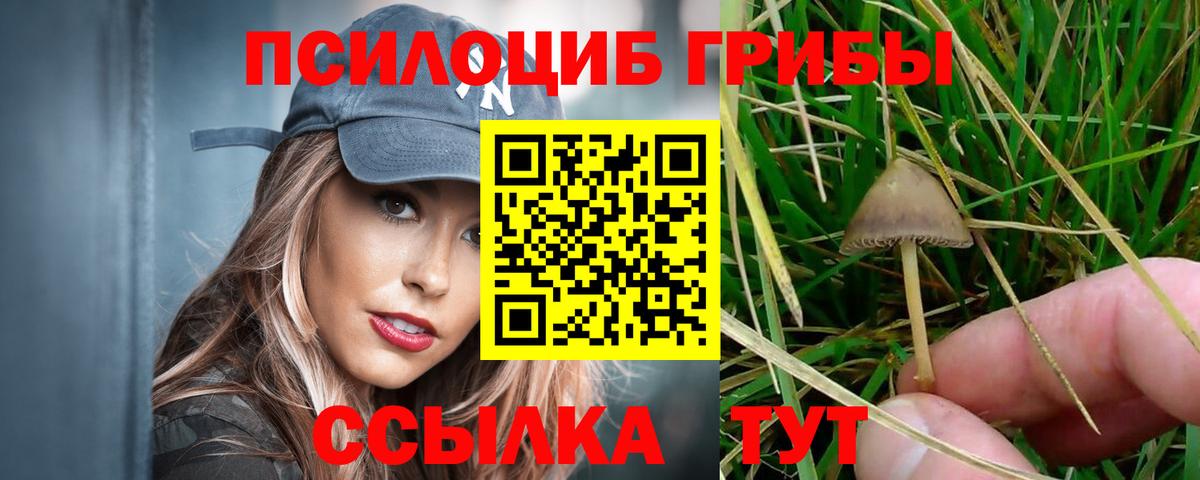 Псилоцибиновые грибы прущие грибы Лабытнанги