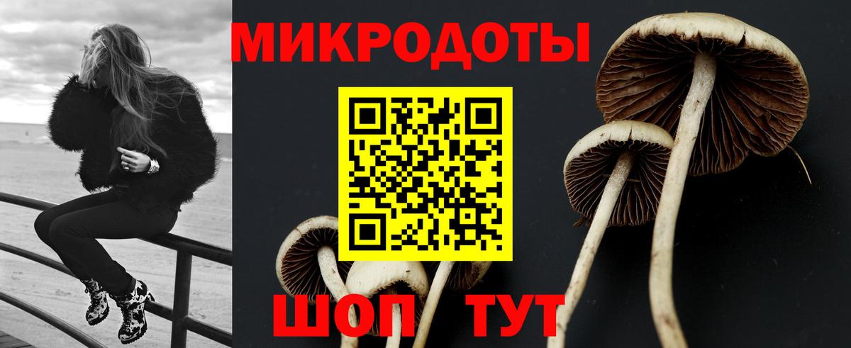 Галлюциногенные грибы Psilocybine cubensis  Вход с VPN  Лабытнанги  Галлюциногенные грибы Magic Shrooms 